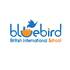 Bluebird International Education Co., Ltd.